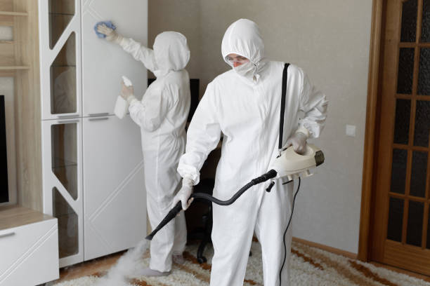 Best Attic Mold Removal  in Rainbow Lakes, NJ