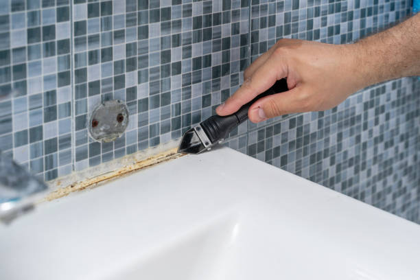 Best Mold Removal Specialists  in Rainbow Lakes, NJ