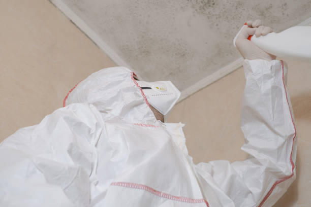 Best Toxic Mold Removal  in Rainbow Lakes, NJ